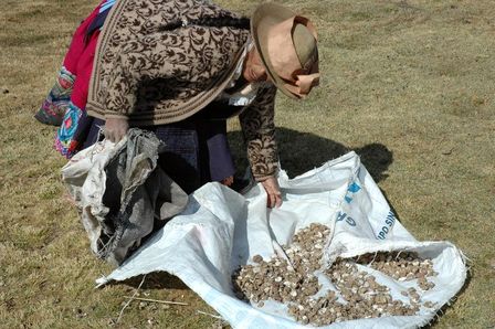 Declaración de las mujeres por la Soberanía Alimentaria